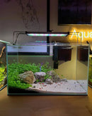 Aquarismo Premium 2